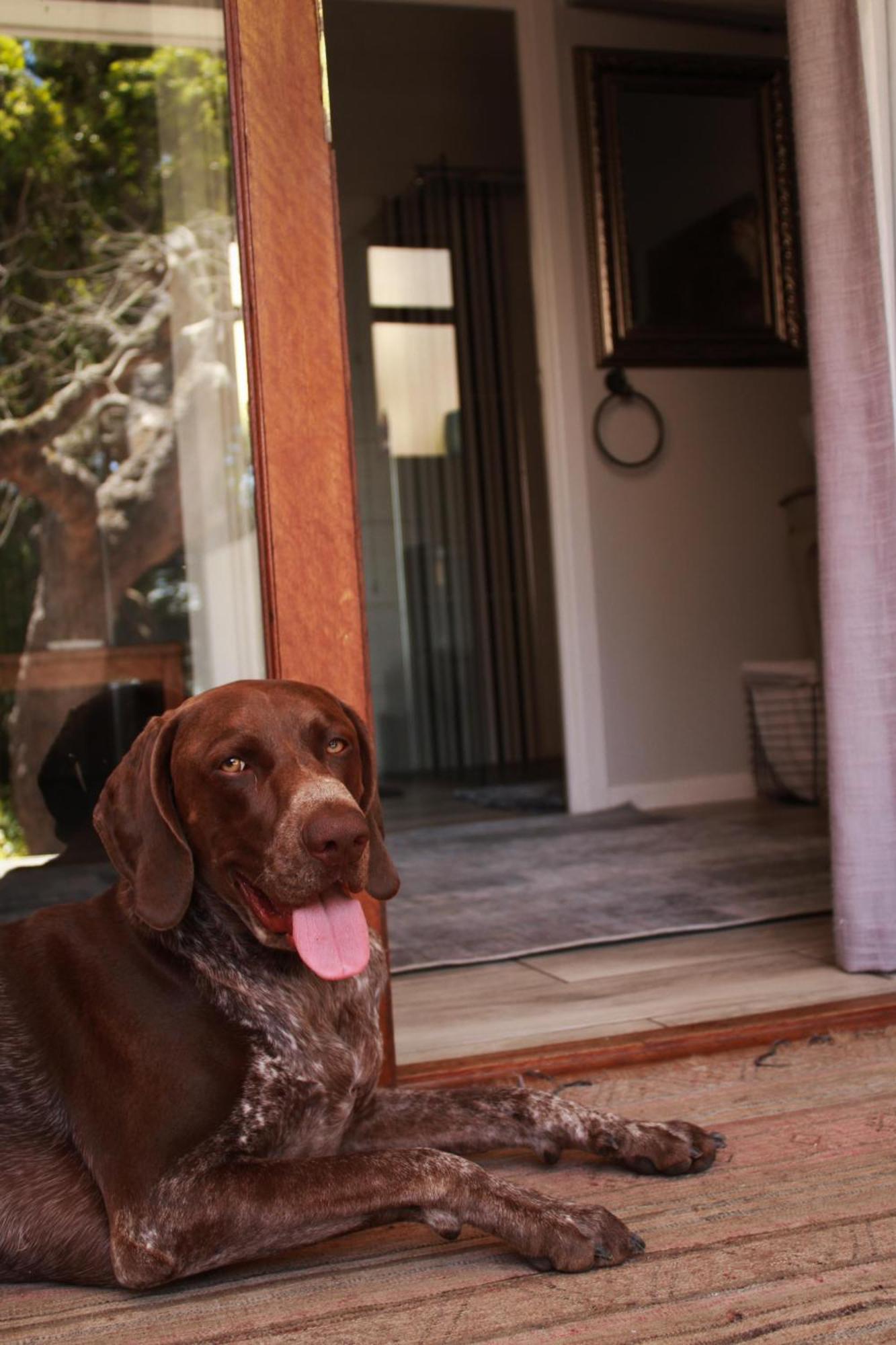 C-vu-cottage Cosy And Warm Private Mossel Bay